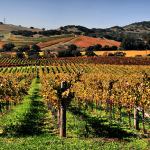 Napa valley wine region california vineyard regions america sunset beautiful sevenfifty daily landscape most north