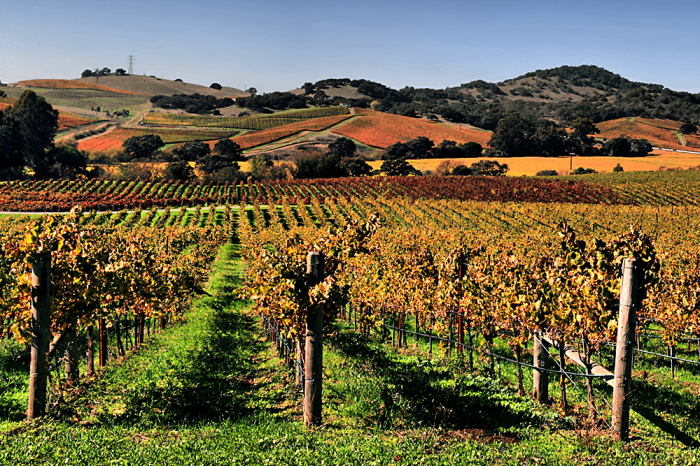 Napa valley wine region california vineyard regions america sunset beautiful sevenfifty daily landscape most north