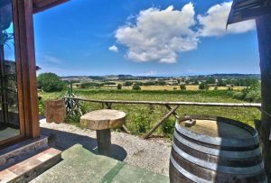 Farm-to-table tours