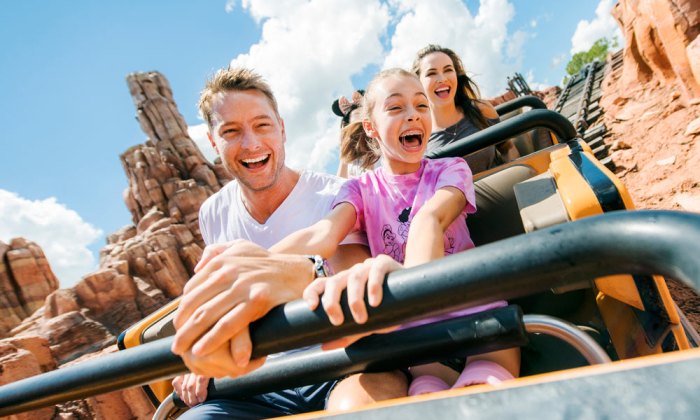 Woodlands devon beverley